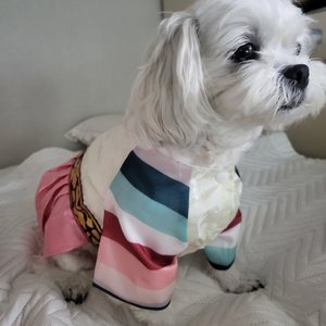 베스트 후기 이미지