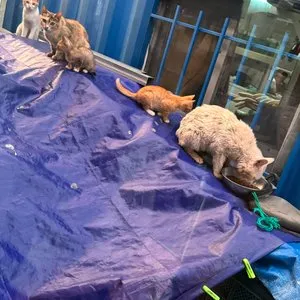 베스트 후기 이미지