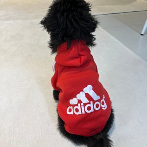 베스트 후기 이미지