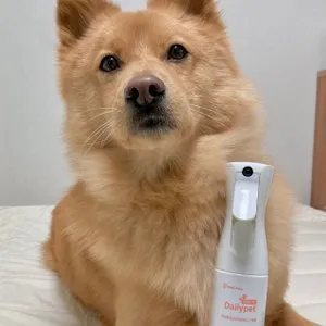 베스트 후기 이미지