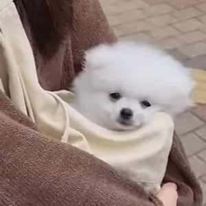 베스트 후기 이미지