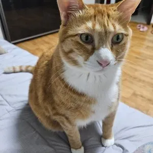 베스트 후기 이미지