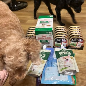 베스트 후기 이미지