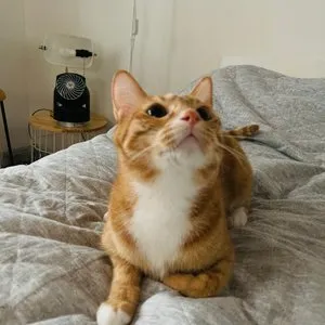 베스트 후기 이미지