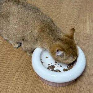 베스트 후기 이미지