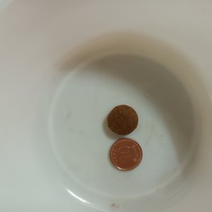 베스트 후기 이미지