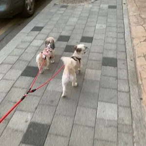 베스트 후기 이미지