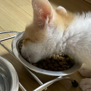 베스트 후기 이미지