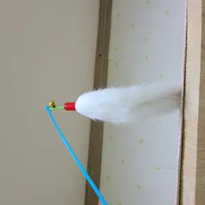 베스트 후기 이미지