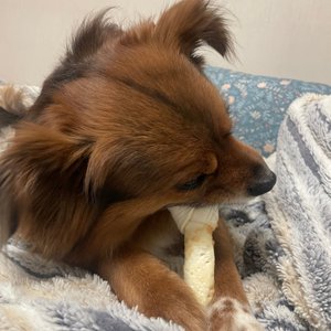 베스트 후기 이미지
