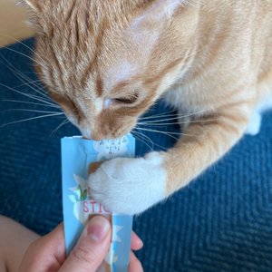 베스트 후기 이미지
