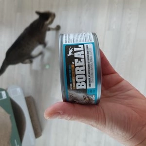 [웰컴딜] 보레알 캣 치킨&연어&오리 캔 156g 베스트 후기 이미지