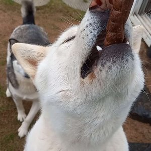 베스트 후기 이미지
