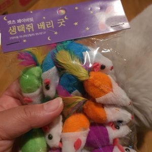 베스트 후기 이미지