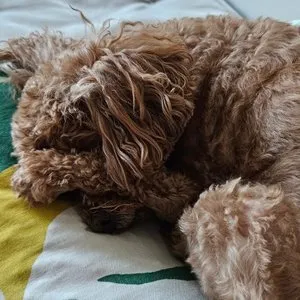 베스트 후기 이미지