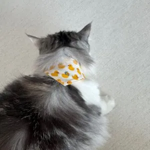 베스트 후기 이미지