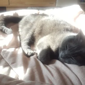 베스트 후기 이미지