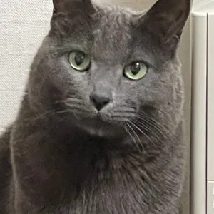 베스트 후기 이미지