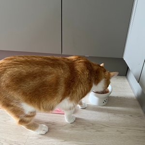 베스트 후기 이미지