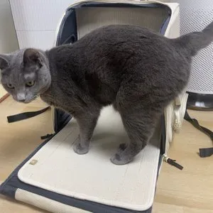 베스트 후기 이미지