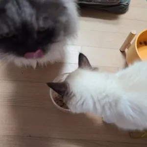 베스트 후기 이미지