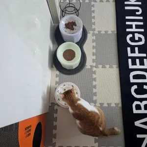 베스트 후기 이미지