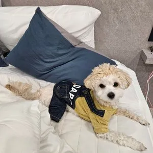 베스트 후기 이미지