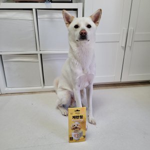 베스트 후기 이미지
