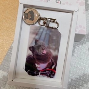 [무료배송] 국가동물등록 심쿵외장칩 모카 베스트 후기 이미지