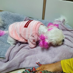 베스트 후기 이미지