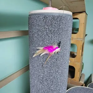 베스트 후기 이미지