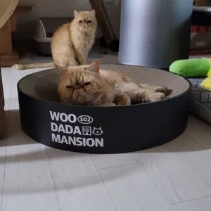 베스트 후기 이미지