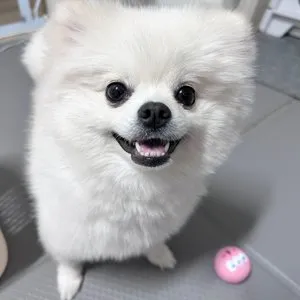 베스트 후기 이미지