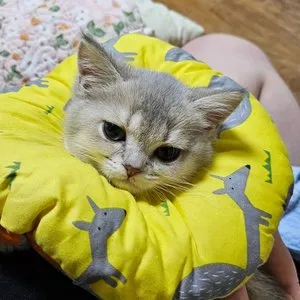 베스트 후기 이미지