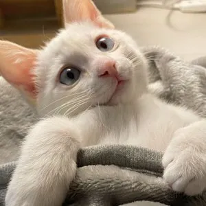 베스트 후기 이미지