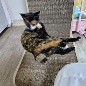 베스트 후기 이미지