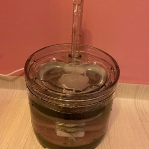 베스트 후기 이미지
