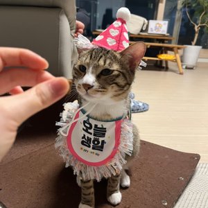 베스트 후기 이미지