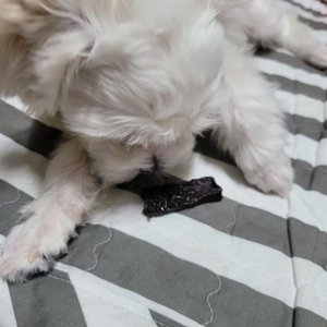 베스트 후기 이미지