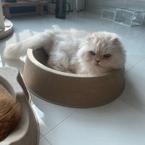 베스트 후기 이미지
