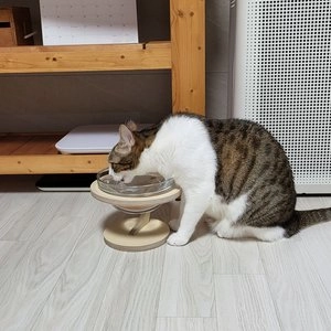 [무료배송] 힐링타임 애플 원목 수반 소형-대형 베스트 후기 이미지