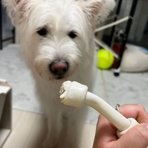 [무료배송] 와그작 밀크본 덴탈껌 S/M 베스트 후기 이미지