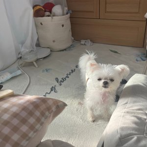 베스트 후기 이미지