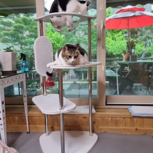 베스트 후기 이미지