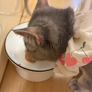 베스트 후기 이미지