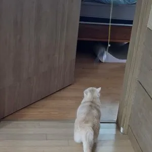 베스트 후기 이미지