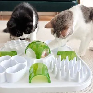 베스트 후기 이미지