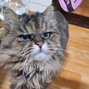 베스트 후기 이미지