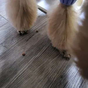 베스트 후기 이미지