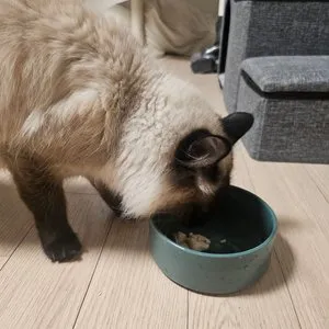 베스트 후기 이미지